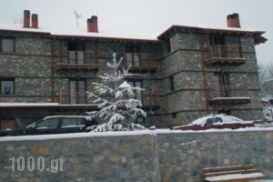 Xenonas Pantheon_accommodation_in_Hotel_Macedonia_Florina_Amideo