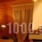 Orange Resorts_best deals_Hotel_Central Greece_Fokida_Delfi