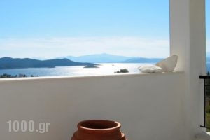 Villa Bellevue_accommodation_in_Villa_Central Greece_Evia_Limni