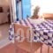 Aggelos Studios_best deals_Hotel_Cyclades Islands_Naxos_Naxos chora