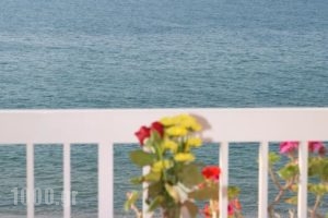Marilyn Apartments_best prices_in_Apartment_Crete_Rethymnon_Rethymnon City