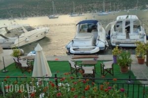 Stella Apartments_best prices_in_Apartment_Ionian Islands_Lefkada_Lefkada's t Areas