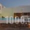 Terrarock Villa_lowest prices_in_Villa_Cyclades Islands_Mykonos_Tourlos