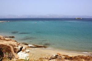 Blue Dolphin_best prices_in_Hotel_Cyclades Islands_Antiparos_Antiparos Chora