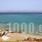 Blue Dolphin_best prices_in_Hotel_Cyclades Islands_Antiparos_Antiparos Chora