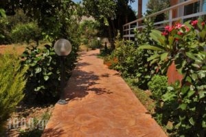 Filoxenia Apartments_holidays_in_Apartment_Dodekanessos Islands_Tilos_Tilos Chora
