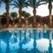 Drossia Palms Hotel - Apartments_travel_packages_in_Crete_Heraklion_Malia