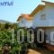 Filoxenia Apartments_best prices_in_Apartment_Dodekanessos Islands_Tilos_Tilos Chora