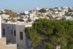 Yvonni Studios_lowest prices_in_Hotel_Dodekanessos Islands_Patmos_Patmos Chora