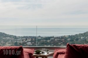 Villa Alegria_lowest prices_in_Villa_Central Greece_Attica_Athens