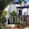 Holidays In Paros_accommodation_in_Hotel_Cyclades Islands_Paros_Paros Chora