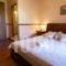 Archontiko_accommodation_in_Hotel_Peloponesse_Lakonia_Sarti