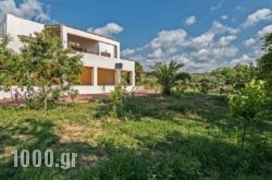 Nostos Home in Athens, Attica, Central Greece