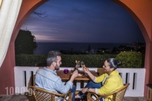 Villa Georgia Apartments & Suites_lowest prices_in_Villa_Crete_Chania_Tavronit's