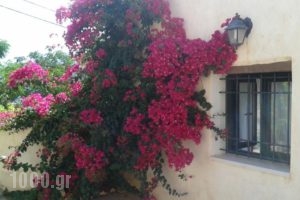 Petra & Elia_accommodation_in_Hotel_Crete_Chania_Souda