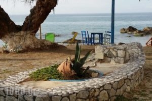 Melani Apartments_holidays_in_Apartment_Crete_Chania_Daratsos
