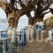 Melani Apartments_best deals_Apartment_Crete_Chania_Daratsos