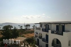 Evangelia in Andros Chora, Andros, Cyclades Islands