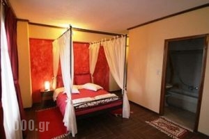 Xenios Zeus_accommodation_in_Hotel_Central Greece_Viotia_Arachova