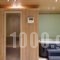 Alpine Aria_best deals_Hotel_Peloponesse_Achaia_Kalavryta