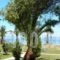 Irini Apartments_lowest prices_in_Apartment_Ionian Islands_Corfu_Lefkimi