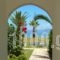 Irini Apartments_holidays_in_Apartment_Ionian Islands_Corfu_Lefkimi