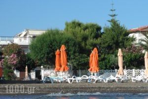 Pension Akrogiali_best prices_in_Hotel_Central Greece_Evia_Amaranthos