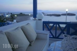 Blue and White Studios & Apartments_best deals_Apartment_Dodekanessos Islands_Karpathos_Karpathosora