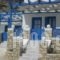 Blue and White Studios & Apartments_travel_packages_in_Dodekanessos Islands_Karpathos_Karpathosora