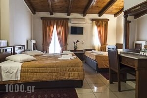 Parnassos Delphi Hotel_lowest prices_in_Hotel_Central Greece_Fokida_Delfi