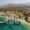 Kalia Studios_accommodation_in_Hotel_Cyclades Islands_Naxos_Naxos chora