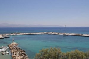 Ocean View Apartment_accommodation_in_Apartment_Cyclades Islands_Paros_Paros Chora