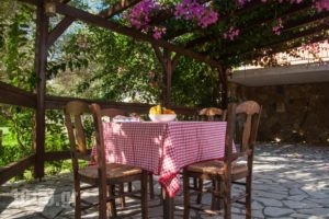 Agroktima Leventis_lowest prices_in_Hotel_Ionian Islands_Kefalonia_Vlachata