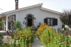 Ktima Ellopia in Corfu Rest Areas, Corfu, Ionian Islands