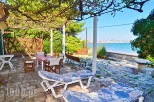 Turtle Beach House_accommodation_in_Hotel_Ionian Islands_Zakinthos_Laganas