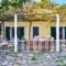 Turtle Beach House_best prices_in_Hotel_Ionian Islands_Zakinthos_Laganas