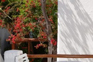 Villa Pinelopi_lowest prices_in_Villa_Cyclades Islands_Mykonos_Mykonos ora