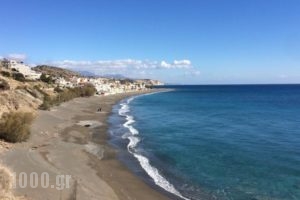 Big Blue Apartments_best deals_Apartment_Crete_Lasithi_Ierapetra