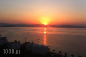 Agistri House_lowest prices_in_Hotel_Piraeus islands - Trizonia_Aigina_Aigina Rest Areas