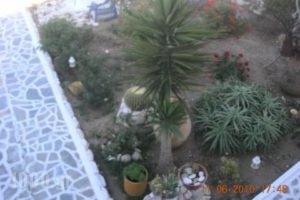 Studios Stavros_holidays_in_Apartment_Cyclades Islands_Paros_Piso Livadi