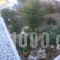 Studios Stavros_holidays_in_Apartment_Cyclades Islands_Paros_Piso Livadi