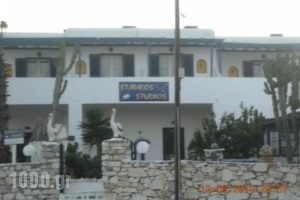 Studios Stavros_lowest prices_in_Apartment_Cyclades Islands_Paros_Piso Livadi