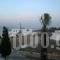 Studios Stavros_travel_packages_in_Cyclades Islands_Paros_Piso Livadi