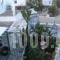 Studios Stavros_best deals_Apartment_Cyclades Islands_Paros_Piso Livadi