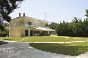 Villa Epsilon_best deals_Villa_Macedonia_Halkidiki_Kassandreia