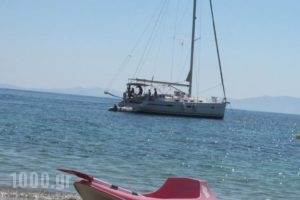 Aegean Panorama_best prices_in_Hotel_Cyclades Islands_Tinos_Tinosst Areas