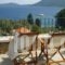 Lithea Villas and Studios by the Sea_holidays_in_Villa_Sporades Islands_Skopelos_Neo Klima - Elios