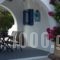 Nataly & Katrin Apartments_best prices_in_Apartment_Cyclades Islands_Sandorini_Imerovigli