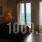 Avia_best prices_in_Hotel_Thessaly_Magnesia_Koropi