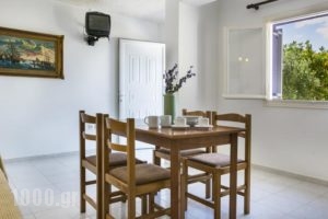 Dk House_accommodation_in_Hotel_Ionian Islands_Kefalonia_Kefalonia'st Areas